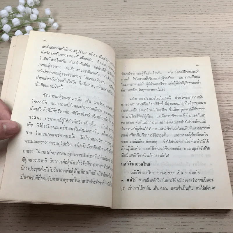 มวยไทย - ชัยสวัสดิ์ เทียนวิบูลย์ รูปที่ 10