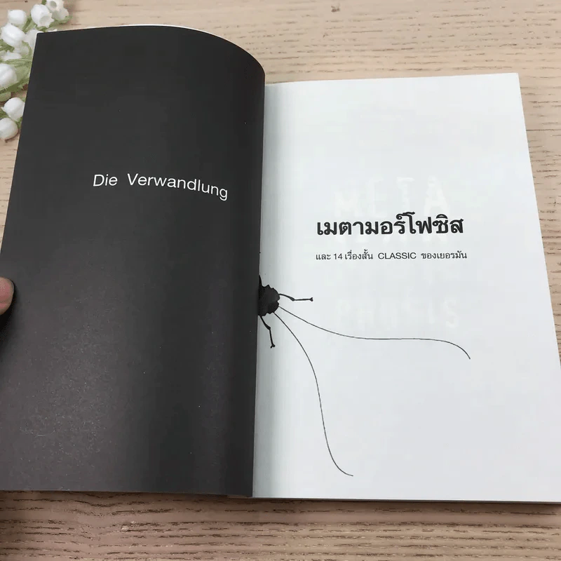The Meta Mor Phosis เมตามอร์โฟซิส และ 14 เรื่องสั้น Classic ของเยอรมัน - Die Verwandlung รูปที่ 7