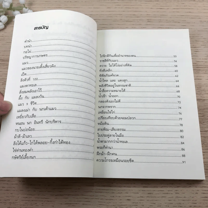 อ่านซะหน่อย ถ้าชีวิตต้องการแรงบันดาลใจ - หลักแก้ว อัมโรสถ รูปที่ 10