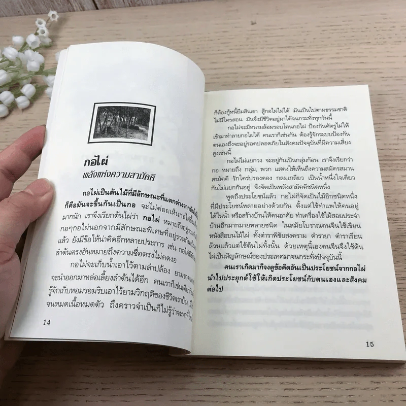 อ่านซะหน่อย ถ้าชีวิตต้องการแรงบันดาลใจ - หลักแก้ว อัมโรสถ รูปที่ 13