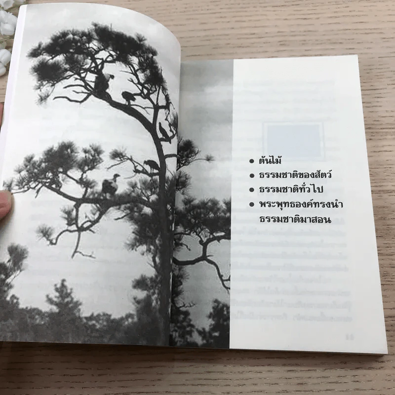 อ่านซะหน่อย ถ้าชีวิตต้องการแรงบันดาลใจ - หลักแก้ว อัมโรสถ รูปที่ 12