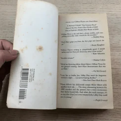 Dark Places - Gillian Flynn รูปที่ 6