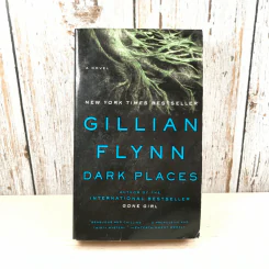 Dark Places - Gillian Flynn รูปที่ 1