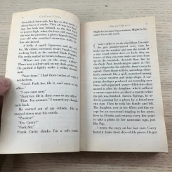 Sharp Objects - Gillian Flynn รูปที่ 10