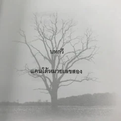บทกวีแคนโต้ หมายเลข 2 - ฟ้า พูลวรลักษณ์ รูปที่ 11