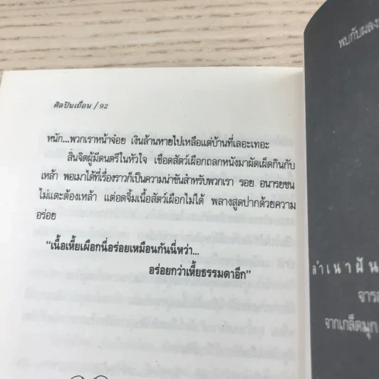 ศิลปินเถื่อน - ธราธิป รูปที่ 10