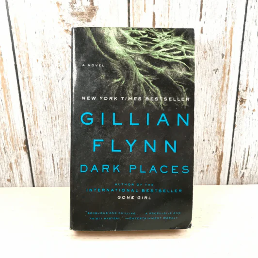 Dark Places - Gillian Flynn รูปที่ 1