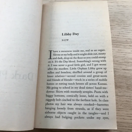 Dark Places - Gillian Flynn รูปที่ 14