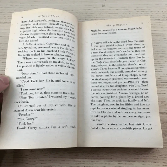 Sharp Objects - Gillian Flynn รูปที่ 10