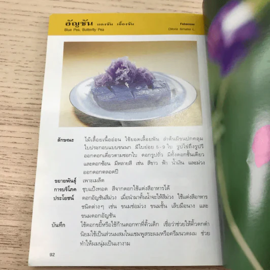 คู่มือคนรักต้นไม้ ดอกไม้กินได้ - วาสนา พลายเล็ก รูปที่ 12