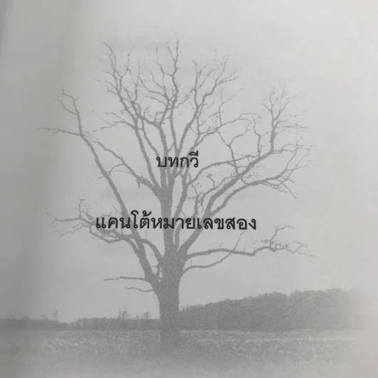 บทกวีแคนโต้ หมายเลข 2 - ฟ้า พูลวรลักษณ์ รูปที่ 11
