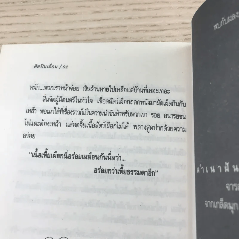 ศิลปินเถื่อน - ธราธิป รูปที่ 10