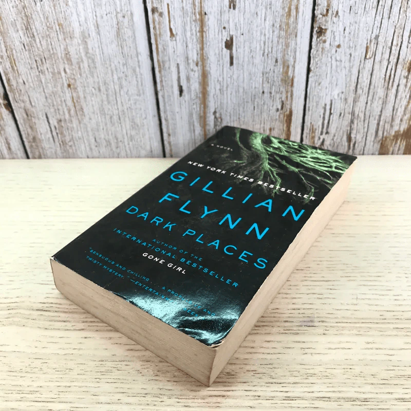 Dark Places - Gillian Flynn รูปที่ 4