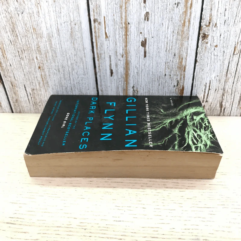 Dark Places - Gillian Flynn รูปที่ 3
