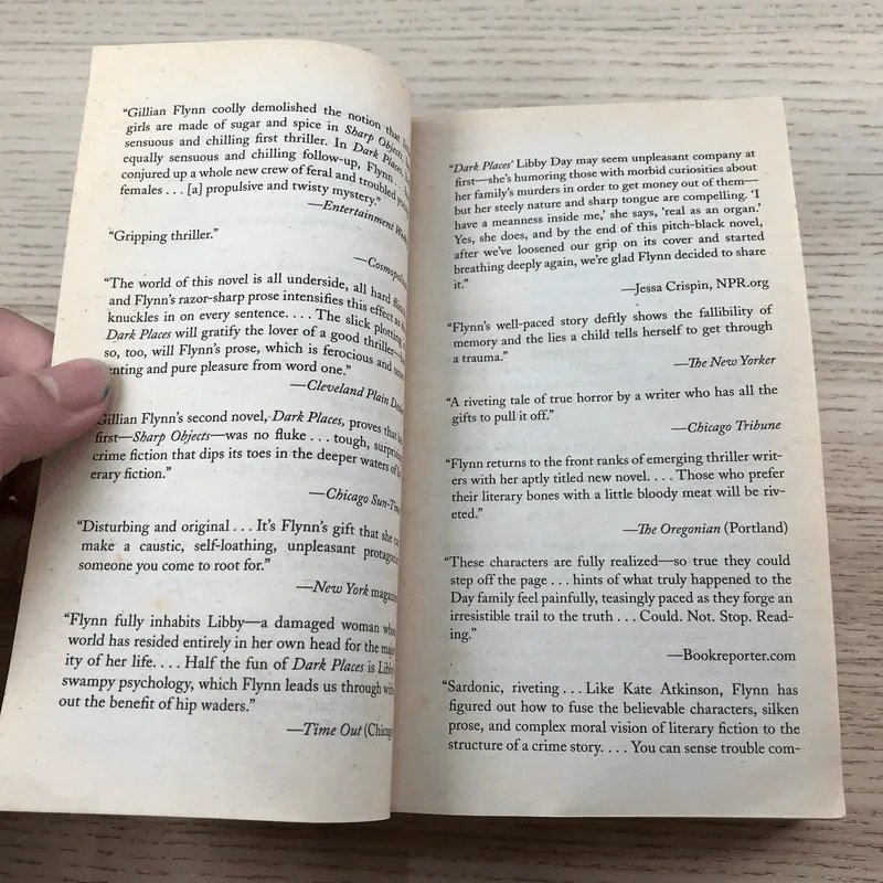 Dark Places - Gillian Flynn รูปที่ 7