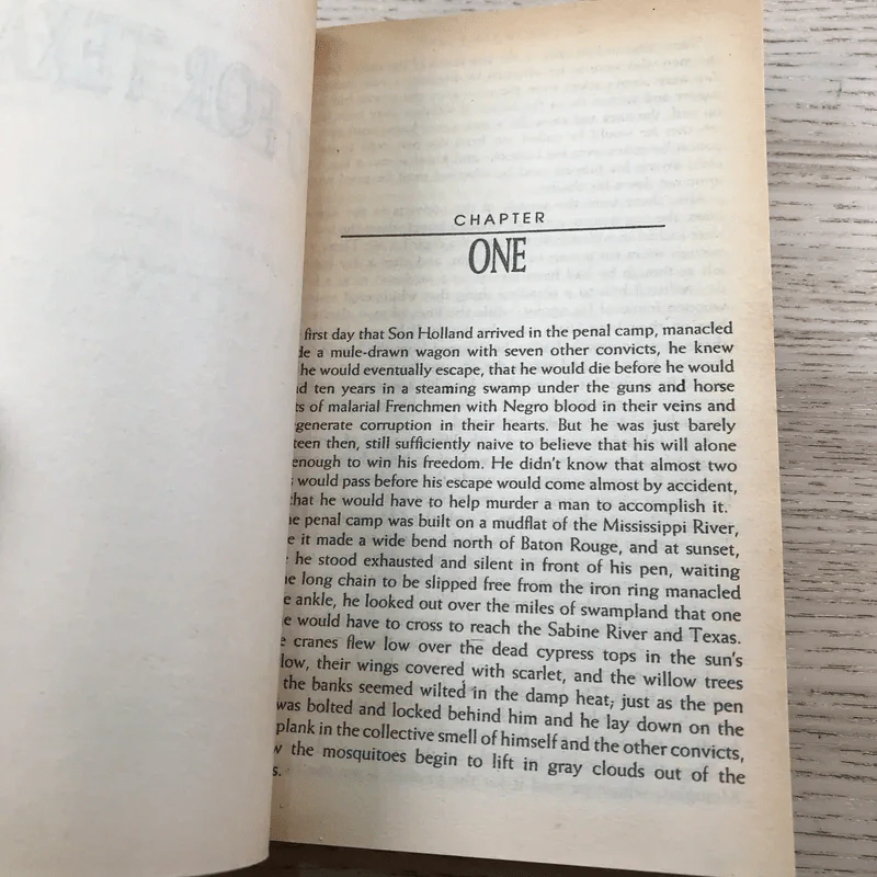 Two For Texas - James Lee Burke รูปที่ 9