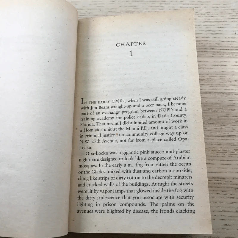 Pegasus Descending - James Lee Burke รูปที่ 11