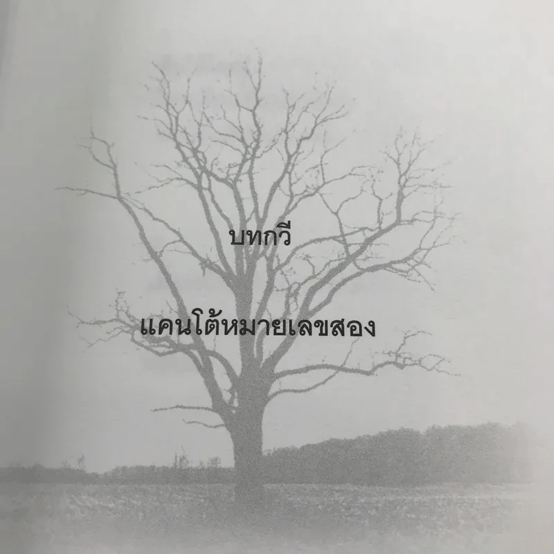 บทกวีแคนโต้ หมายเลข 2 - ฟ้า พูลวรลักษณ์ รูปที่ 11