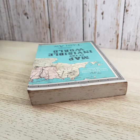 Map of the Invisible World - Tash Aw รูปที่ 6