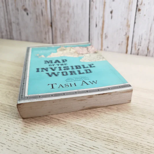 Map of the Invisible World - Tash Aw รูปที่ 4
