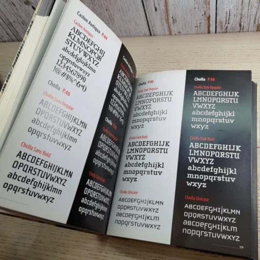 The Designer's Guide to Web Type รูปที่ 13