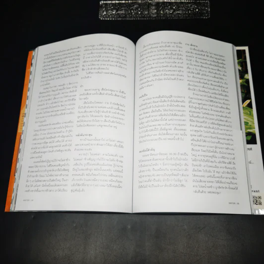 WRITER ปีที่ 1 ฉบับที่ 3 ก.ย.2554 80 กะรัต เพชรพนมเทียน รูปที่ 28