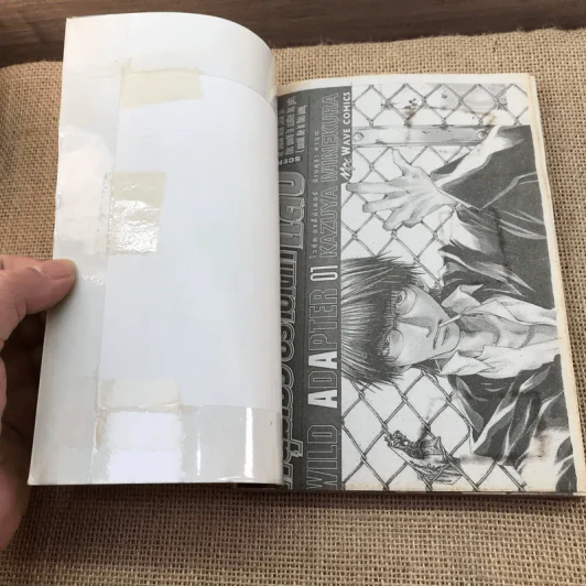 หนุ่มเฮ้ว ปราบเด็กแสบ Wild Adapter เล่ม 1-2 รูปที่ 8