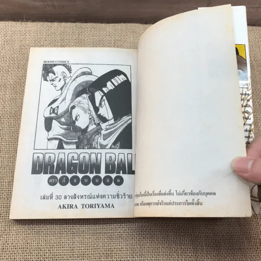 Dragon Ball ดราก้อนบอล เล่ม 30 รูปที่ 13