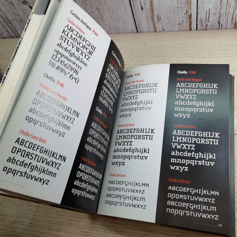 The Designer's Guide to Web Type รูปที่ 13