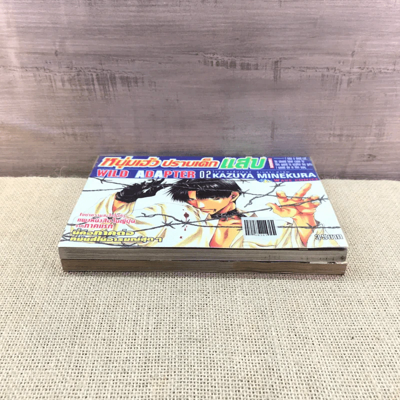 หนุ่มเฮ้ว ปราบเด็กแสบ Wild Adapter เล่ม 1-2 รูปที่ 4
