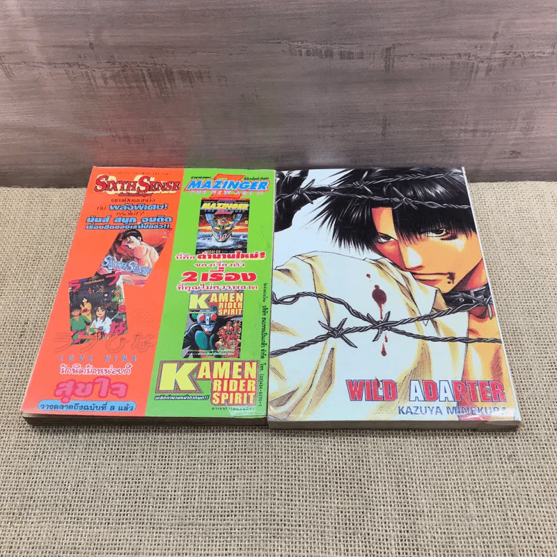 หนุ่มเฮ้ว ปราบเด็กแสบ Wild Adapter เล่ม 1-2 รูปที่ 7