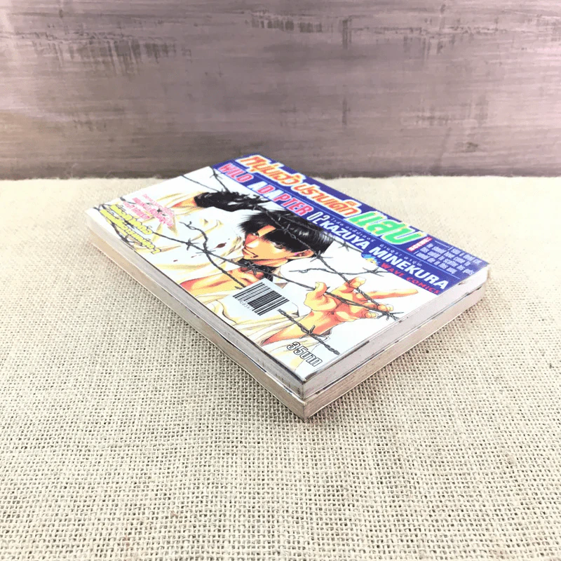 หนุ่มเฮ้ว ปราบเด็กแสบ Wild Adapter เล่ม 1-2 รูปที่ 6