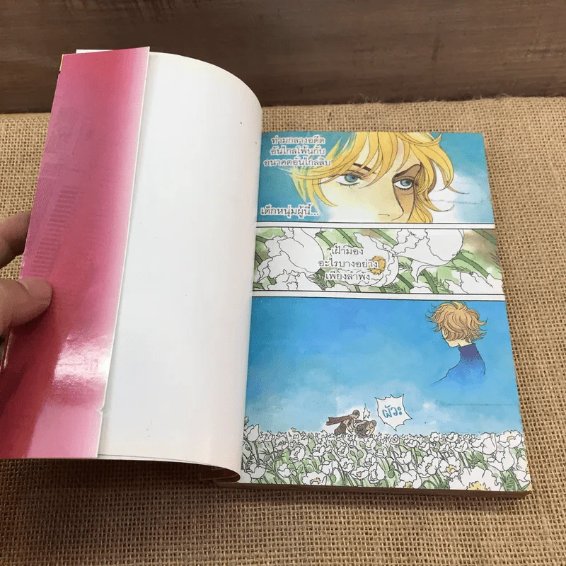 a Wonder Boy หนุ่มน้อยทะลุมิติ เล่ม 3 รูปที่ 7