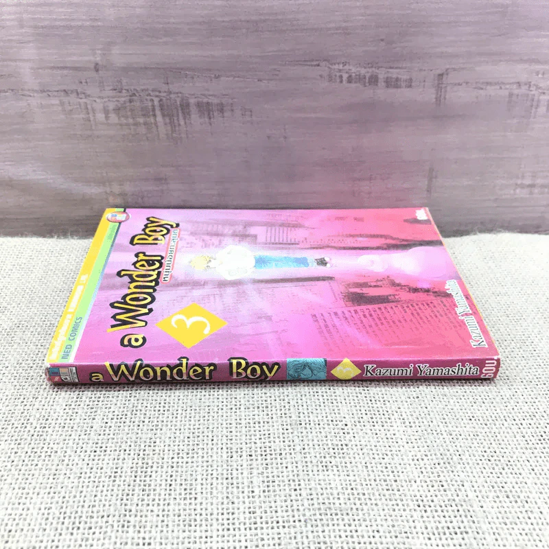 a Wonder Boy หนุ่มน้อยทะลุมิติ เล่ม 3 รูปที่ 2