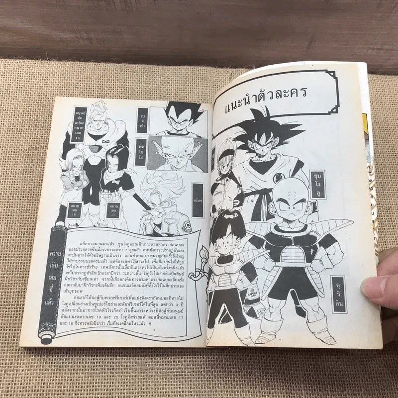 Dragon Ball ดราก้อนบอล เล่ม 30 รูปที่ 14