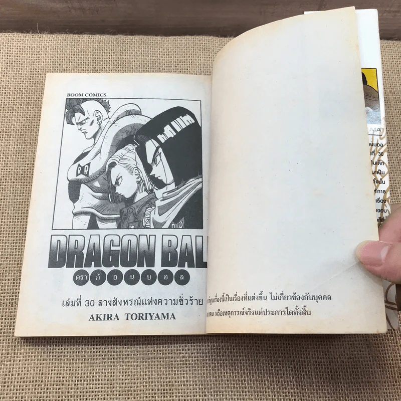 Dragon Ball ดราก้อนบอล เล่ม 30 รูปที่ 13