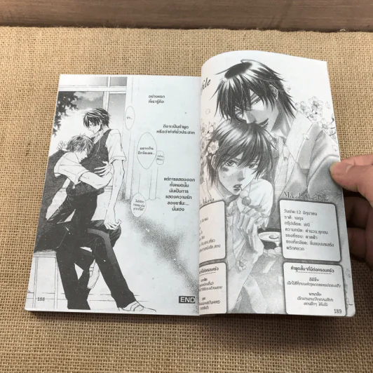การ์ตูนวาย หวานใจตัวร้ายนายตัวแสบ - Mei Sakuraga รูปที่ 8