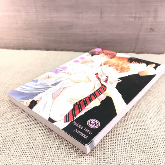 การ์ตูนวาย จับดอกไม้สองมือจะได้ไหมครับ - Hatoya Tama รูปที่ 4