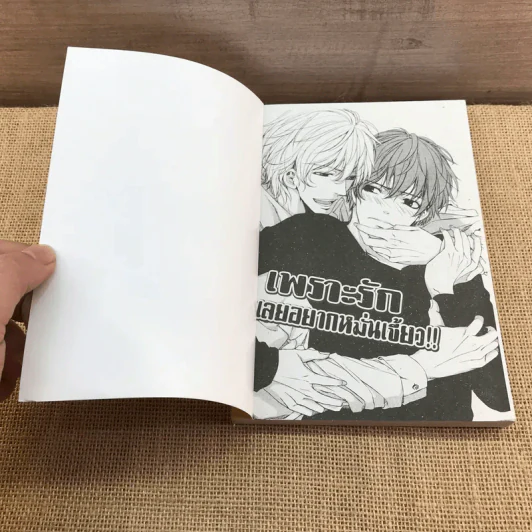 การ์ตูนวาย เพราะรักเลยอยากหมั่นเขี้ยว - Sari Aomoto รูปที่ 6