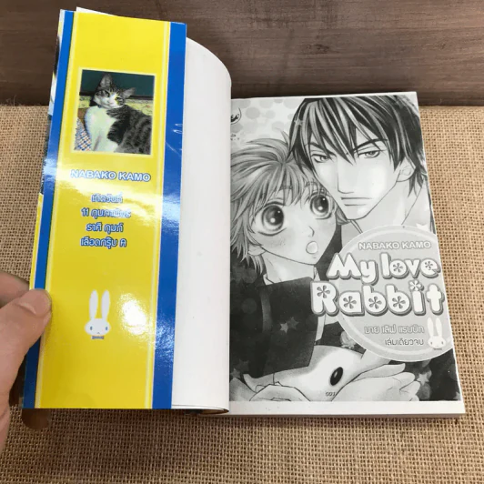 การ์ตูนวาย My Love Rabbit มาย เลิฟ แรบบิท - Nabako Kamo รูปที่ 6