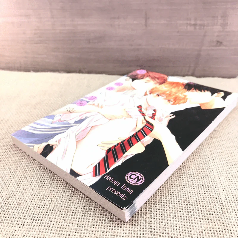การ์ตูนวาย จับดอกไม้สองมือจะได้ไหมครับ - Hatoya Tama รูปที่ 4