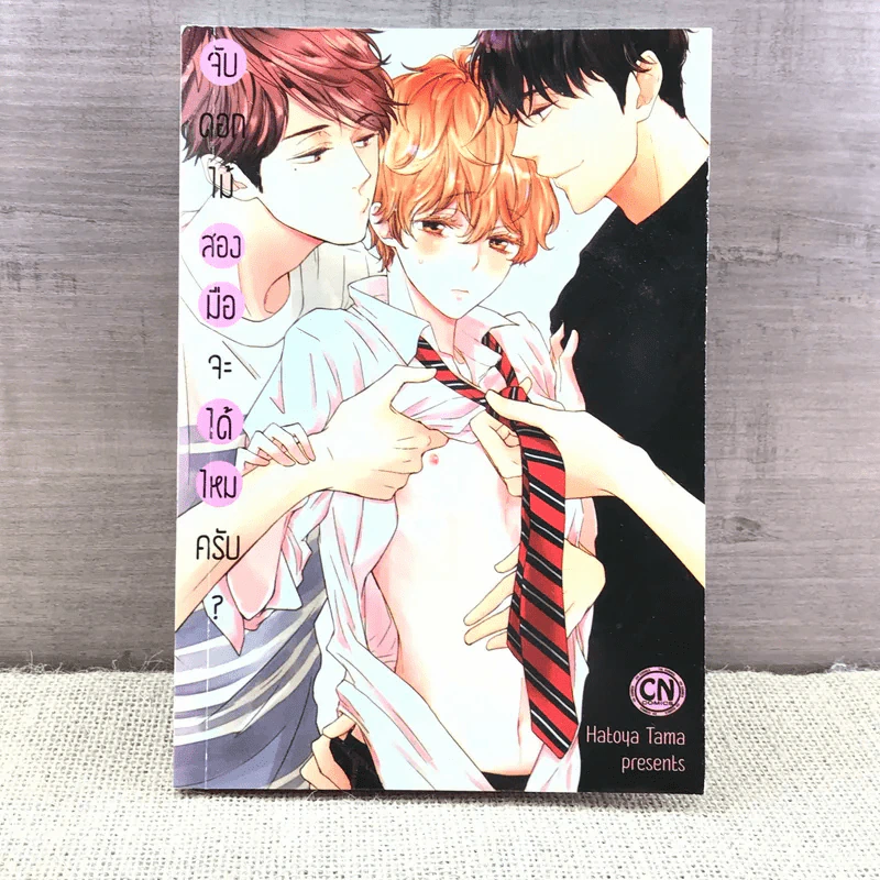 การ์ตูนวาย จับดอกไม้สองมือจะได้ไหมครับ - Hatoya Tama รูปที่ 1