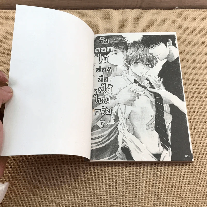 การ์ตูนวาย จับดอกไม้สองมือจะได้ไหมครับ - Hatoya Tama รูปที่ 6