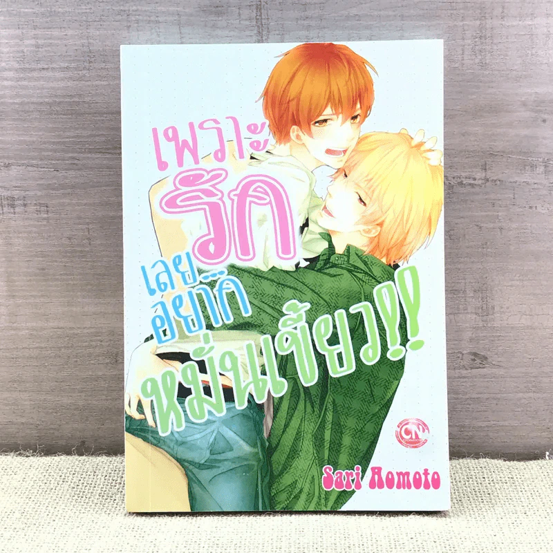 การ์ตูนวาย เพราะรักเลยอยากหมั่นเขี้ยว - Sari Aomoto รูปที่ 1