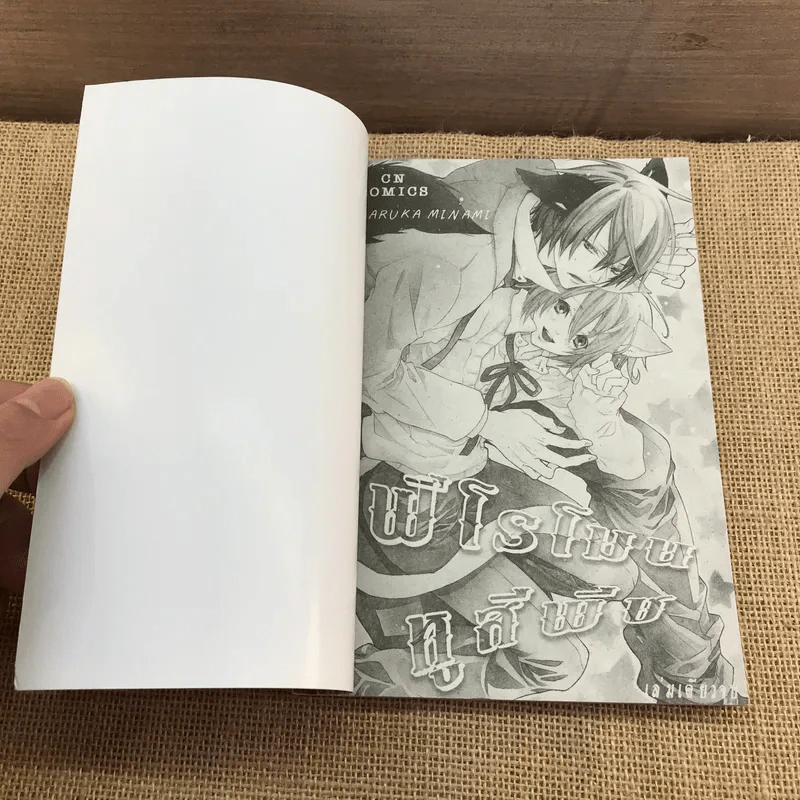 การ์ตูนวาย ฟีโรโมนหูพีช - Haruka Minami รูปที่ 6