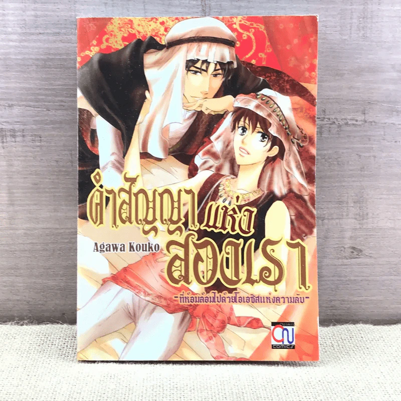 การ์ตูนวาย คำสัญญาแห่งสองเรา ที่ห้อมล้อมไปด้วยโอเอซิสแห่งความลับ - Agawa Kouko รูปที่ 1