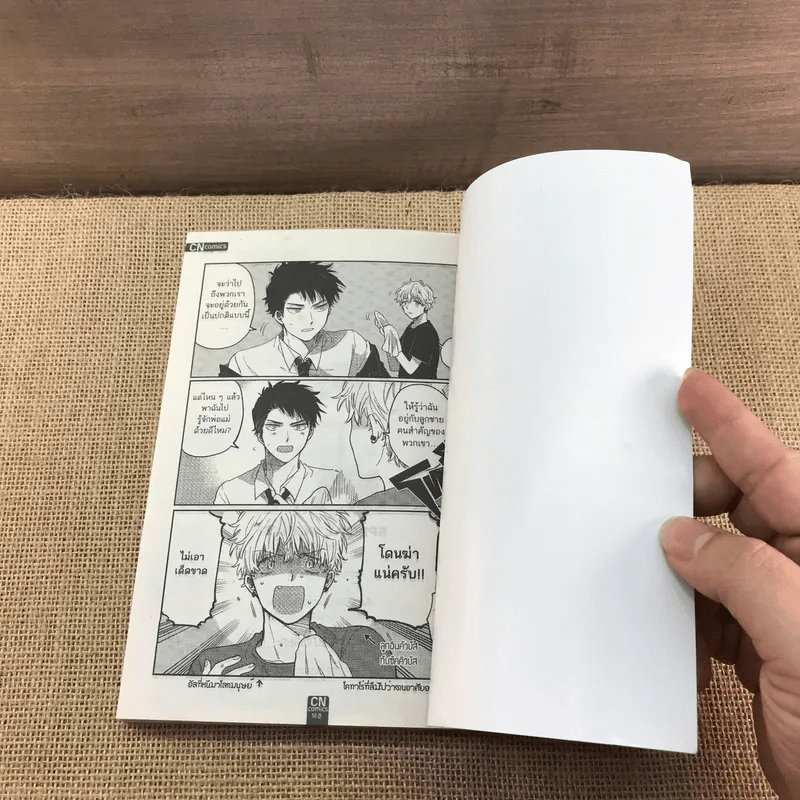 การ์ตูนวาย ปีศาจราคะป่วนใจนายตายด้าน - Shinta Harekawa รูปที่ 8