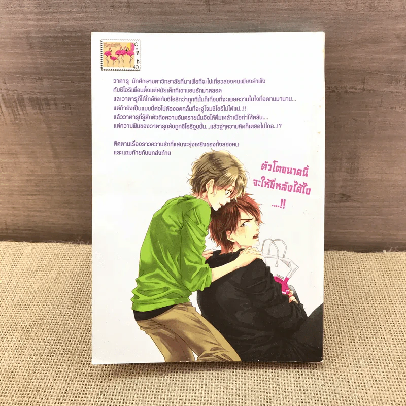 การ์ตูนวาย กลัวนักจะได้ยินว่ารักนาย - Kyoko Aiba รูปที่ 10