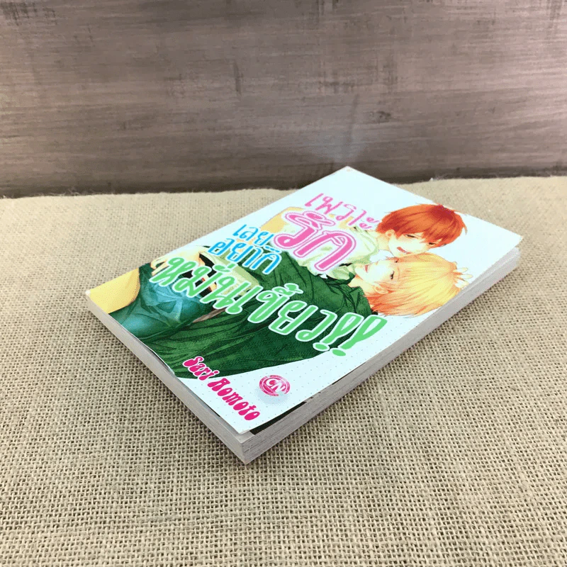 การ์ตูนวาย เพราะรักเลยอยากหมั่นเขี้ยว - Sari Aomoto รูปที่ 4