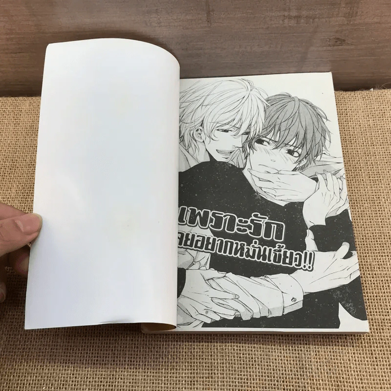 การ์ตูนวาย เพราะรักเลยอยากหมั่นเขี้ยว - Sari Aomoto รูปที่ 6